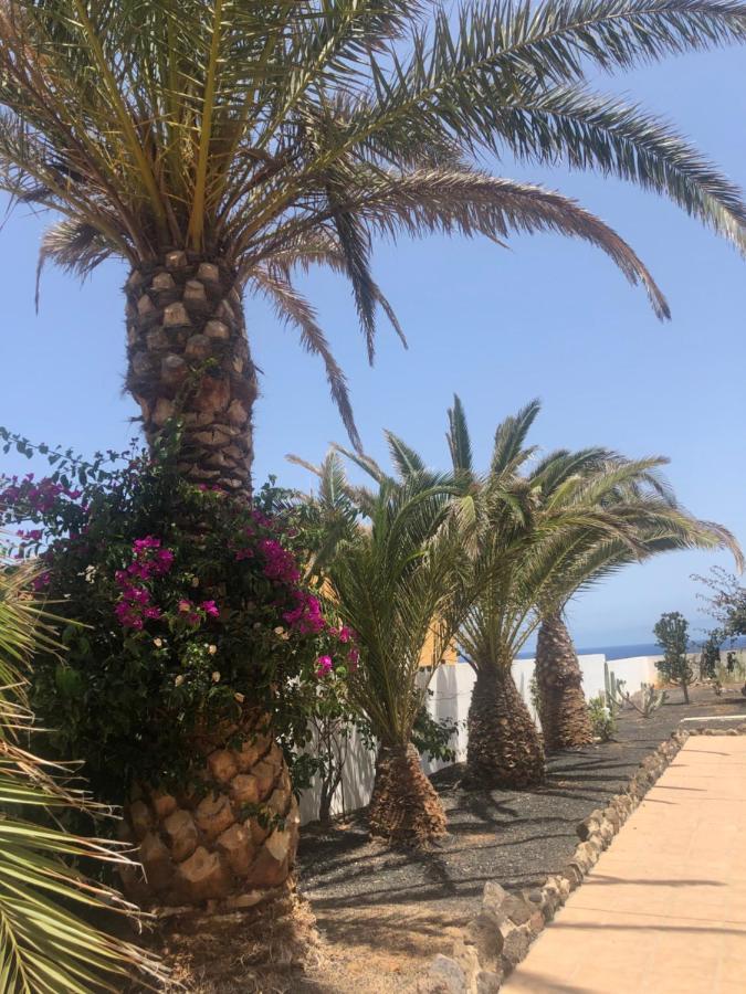 Apartamento La Tortuga De Fuerteventura Costa De Antigua Extérieur photo
